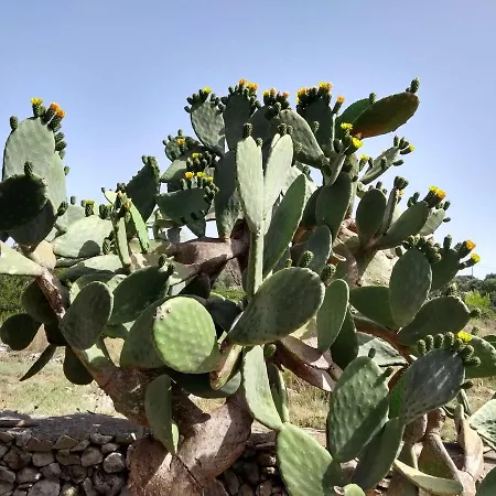 Feriehus Il Trullo *
