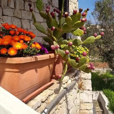 بيت للعطل Il Trullo *